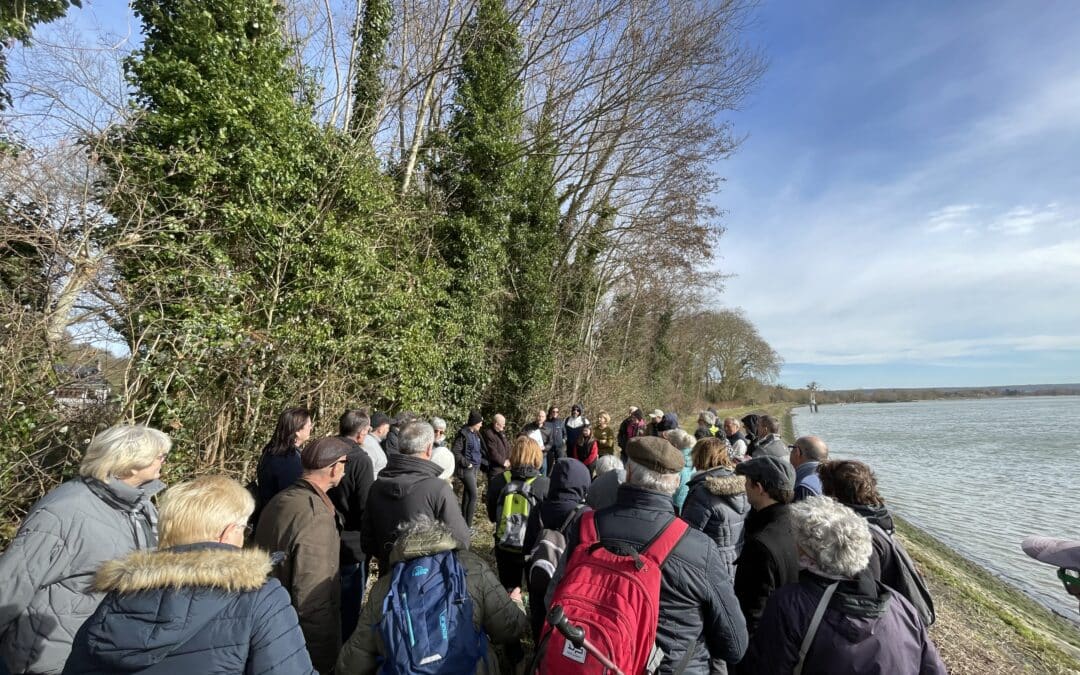 Balade commentée en bord de Seine entre St-Pierre-de-Varengeville et Hénouville (76)